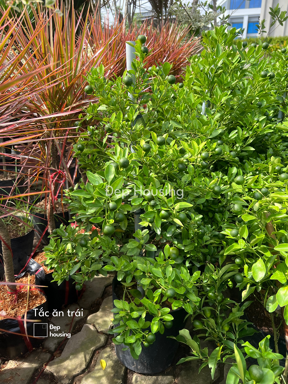 17af18_11ecc3007c5e4d60b4e0168e3bf64eab~mv2