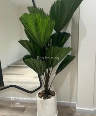 Kè nhật trồng chậu đá mài tròn 30cm