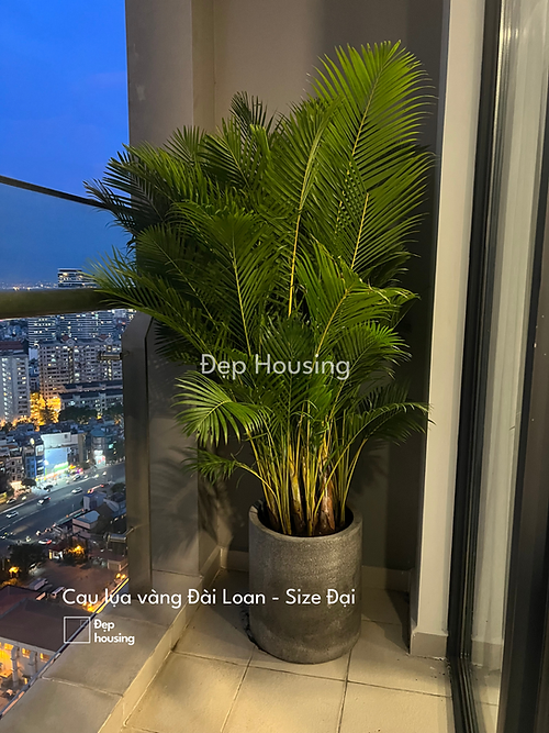 17af18_2dba6bb665c84376b3075b9dc3258db4_mv2