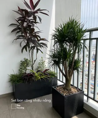 Set cây ban công trồng chậu đá mài ngang 100x40x40cm