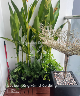 Mẫu Trang trí ban công