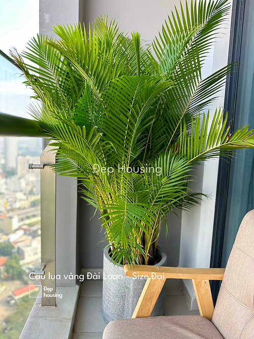 17af18_b5edc6f47641463fb43c23364922a4e9_mv2