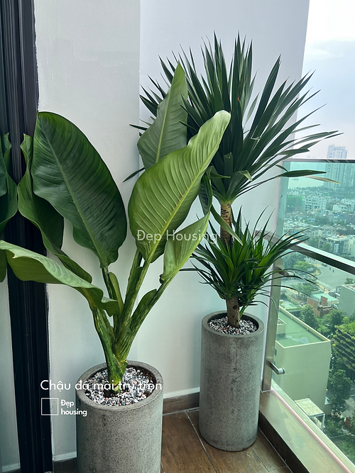 17af18_b904c2190e3e4d04bce9e4456cc4317b_mv2