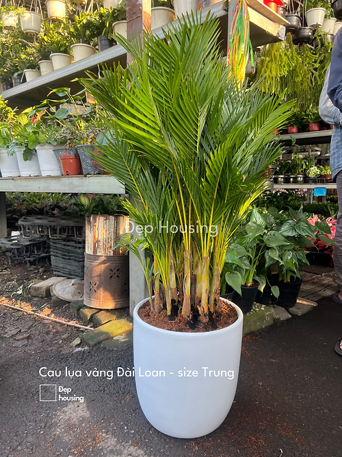 17af18_e04cfc7ce96145078ce44d4ee3623448_mv2