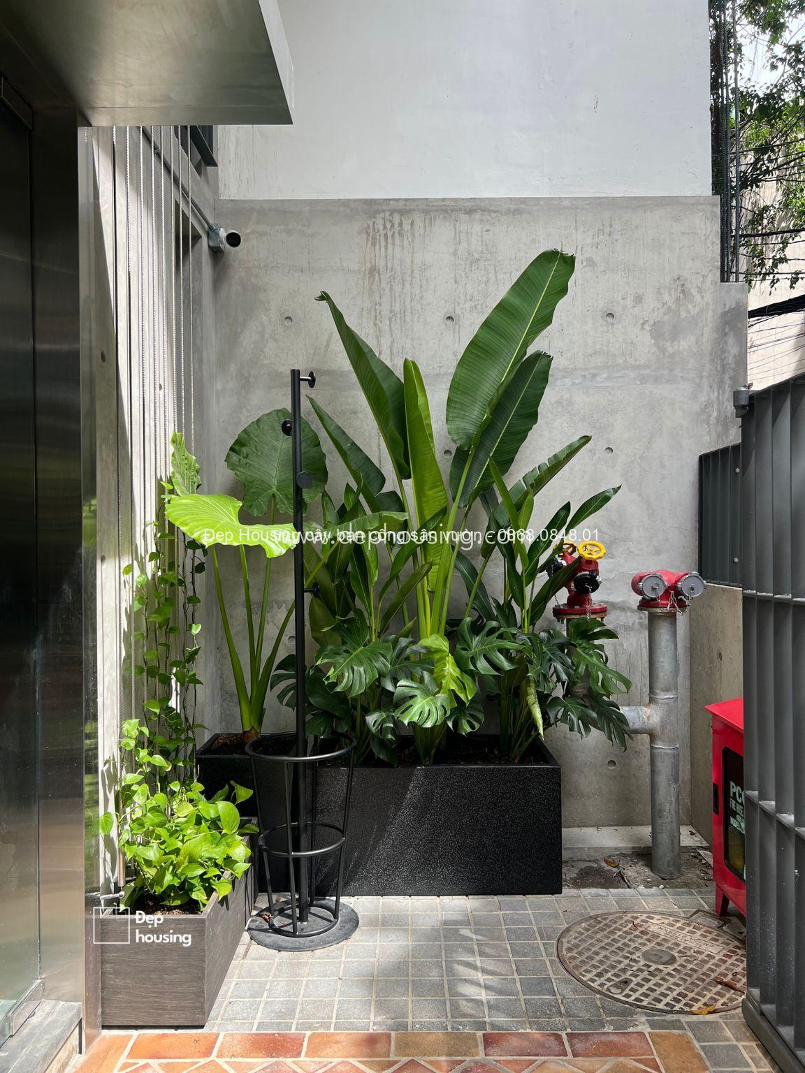 Trang trí cây văn phòng do Đẹp Housing thực hiện