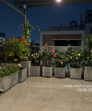 Trồng hoa ban công nhiều nắng